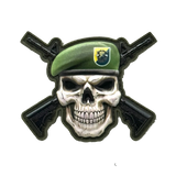 Green Beret Skull V2 PVC Morale Patch - Tactical Outfitters