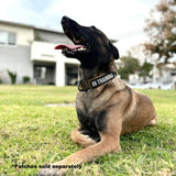 K9R - BCH Big Dog Collar Heavy Duty - Tactical Outfitters