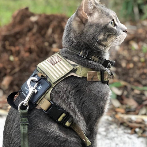 M1 Lightspeed Harness for Cats - Tactical Outfitters
